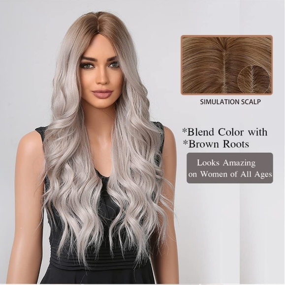 26 Inch Long Brown Gradient Silver Grey wig - Picture 2 of 6